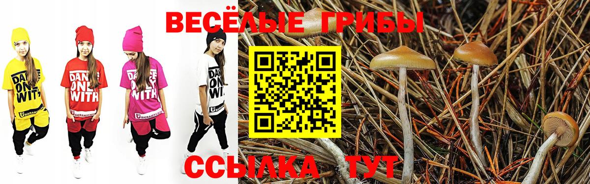 Галлюциногенные грибы GOLDEN TEACHER  Вход с VPN  Сердобск 